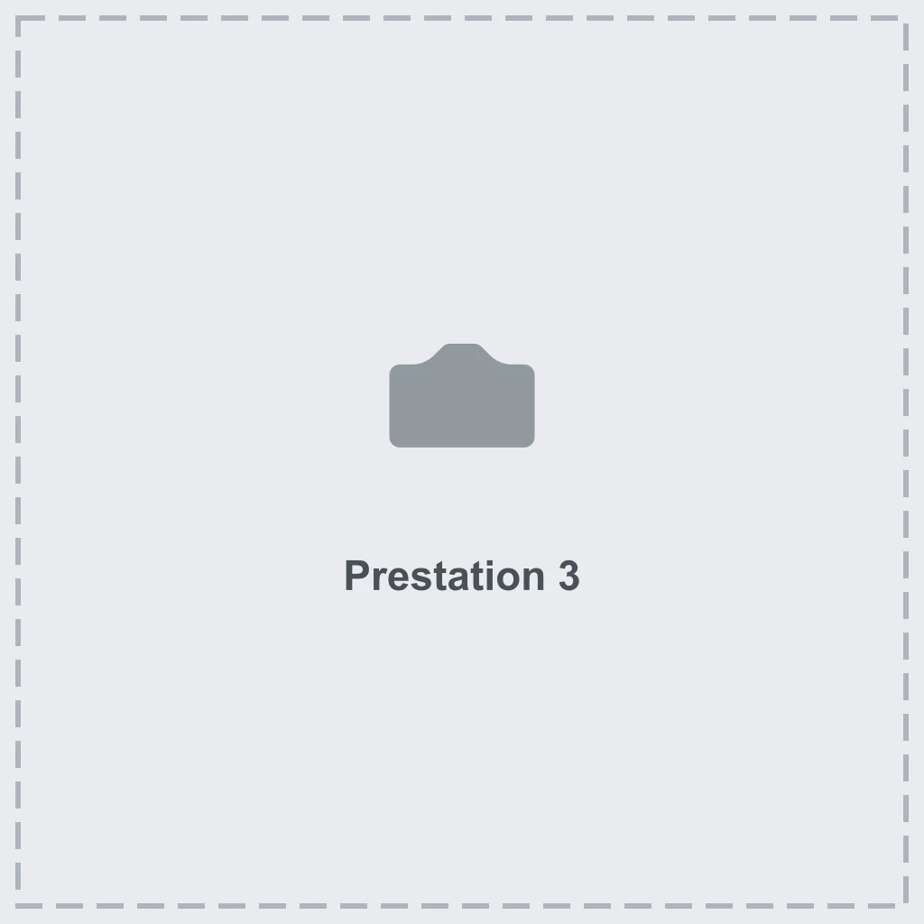 Prestation 3