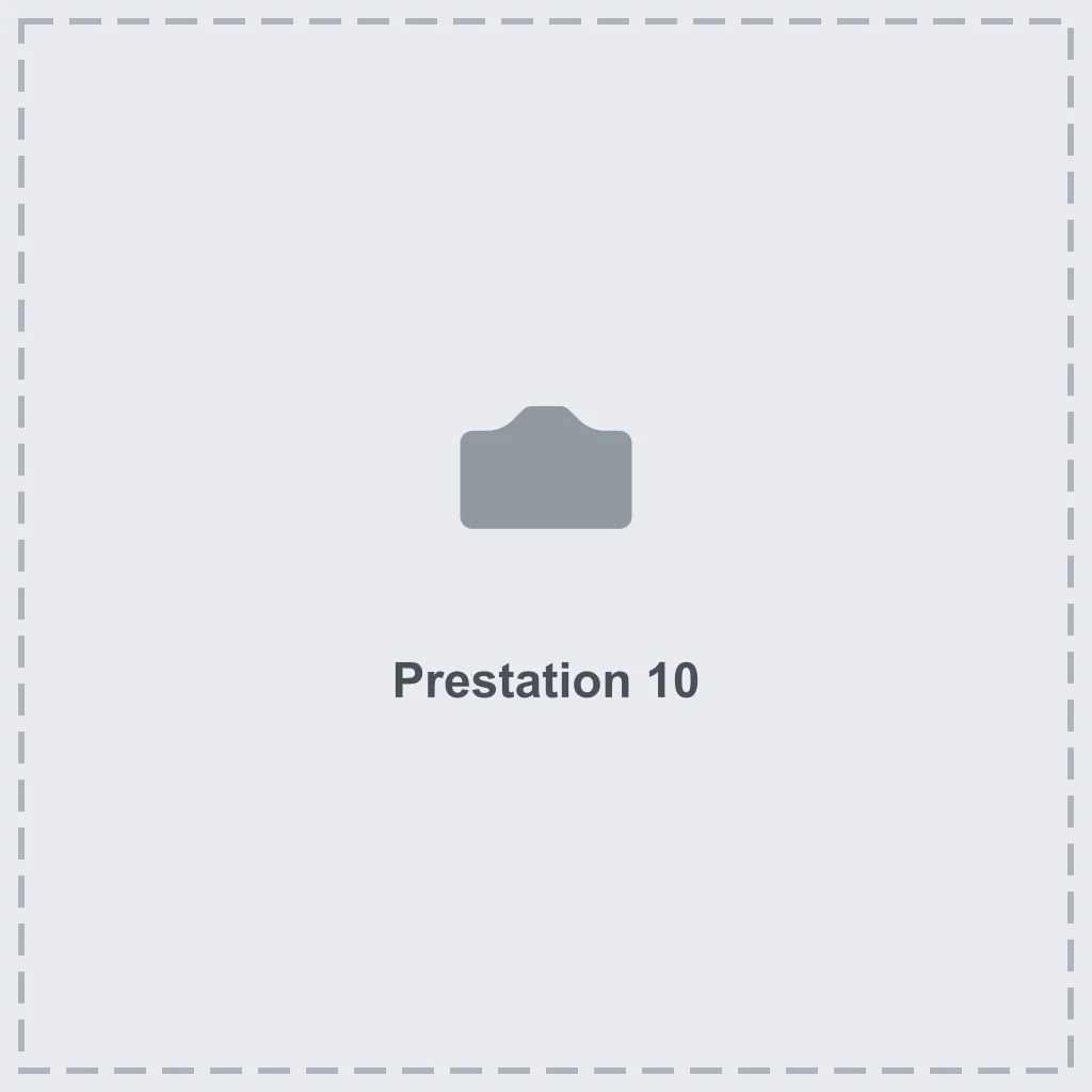 Prestation 10
